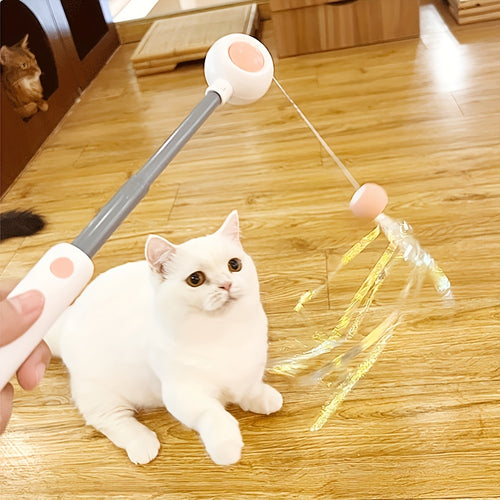 Retractable Cat Wand Toy With Replacement Head